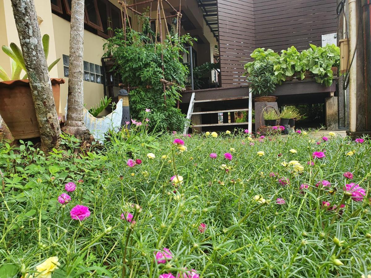 Ritzy House Hotel Chumphon Bagian luar foto